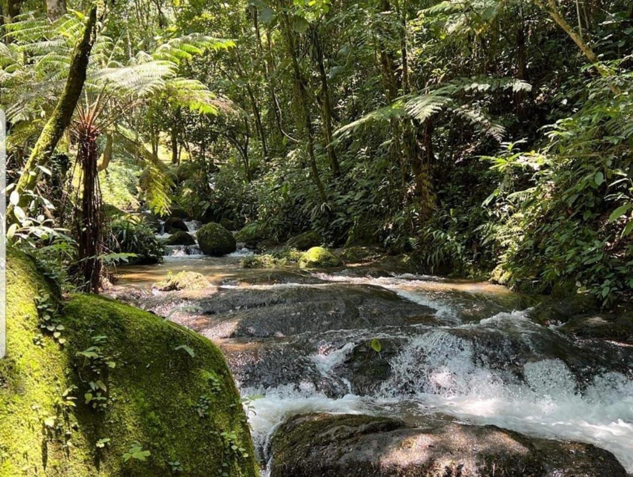 Pousada Caminhos De Gaia São Francisco Xavier Eksteriør billede