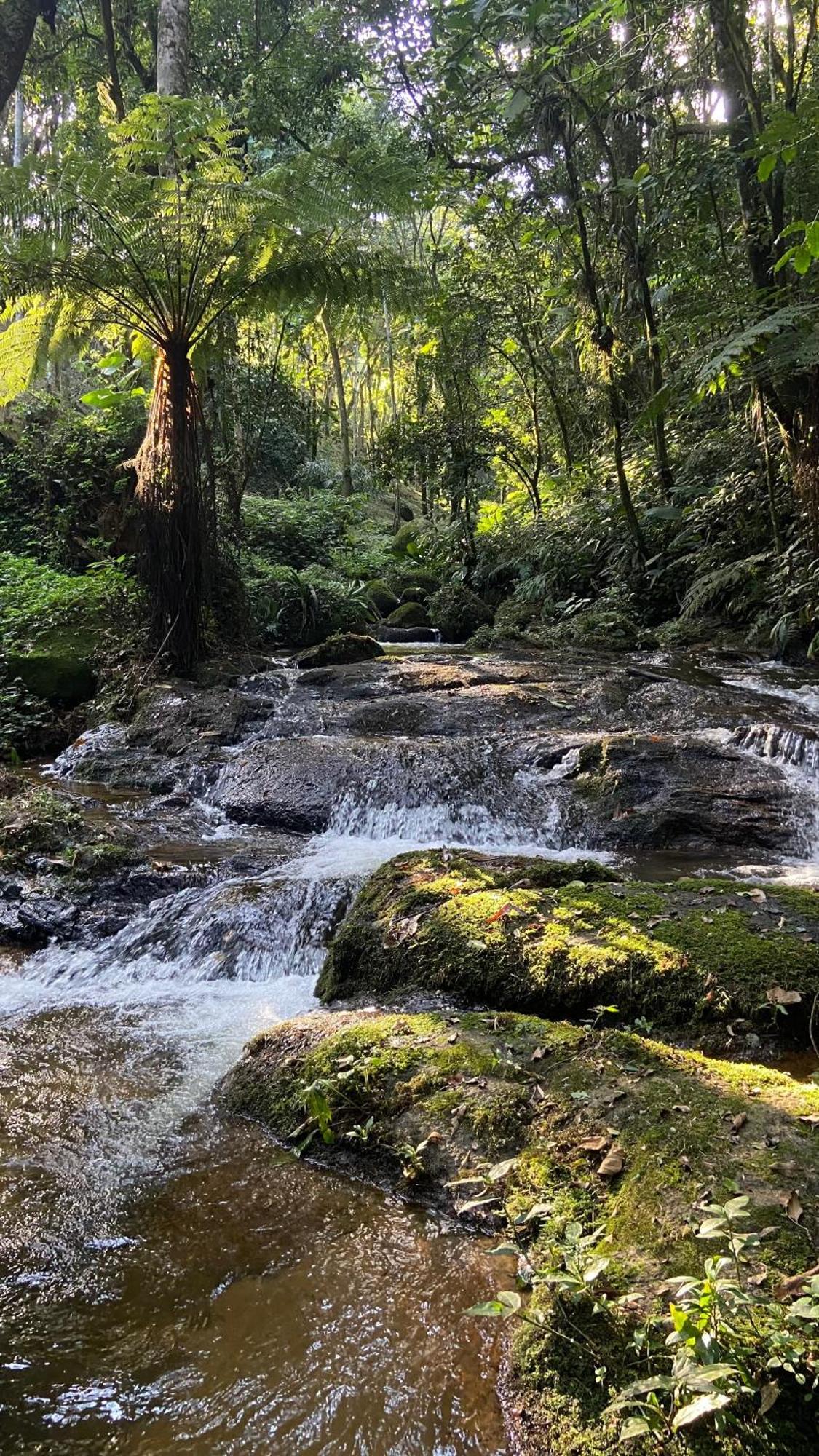 Pousada Caminhos De Gaia São Francisco Xavier Eksteriør billede